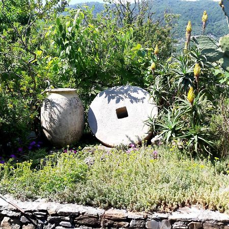 L'Antico Frantoio Villa Rapallo Ngoại thất bức ảnh