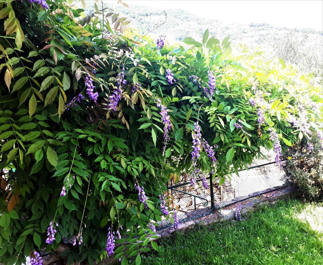 L'Antico Frantoio Villa Rapallo Ngoại thất bức ảnh